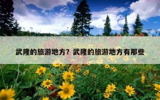武隆的旅游地方？武隆的旅游地方有那些
