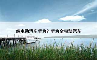 純電動汽車華為？華為全電動汽車