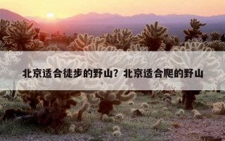 北京適合徒步的野山？北京適合爬的野山