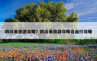 四川來旅游攻略？四川來旅游攻略自由行攻略