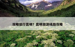 攻略旅行昆明？昆明旅游線路攻略