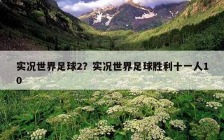 實況世界足球2？實況世界足球勝利十一人10
