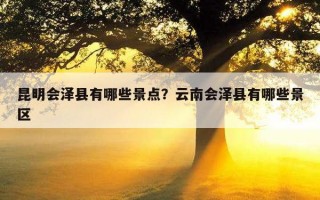 昆明會澤縣有哪些景點？云南會澤縣有哪些景區
