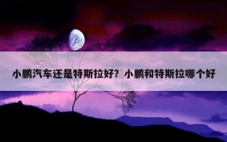 小鵬汽車還是特斯拉好？小鵬和特斯拉哪個好