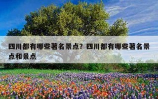 四川都有哪些著名景點？四川都有哪些著名景點和景點