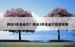 四川3天自由行？四川3天自由行旅游攻略