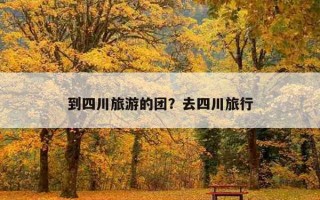 到四川旅游的團？去四川旅行