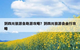 到四川旅游自助游攻略？到四川旅游自由行攻略