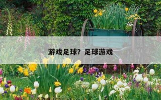 游戲足球？足球游戲