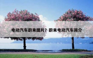 電動汽車蔚來圖片？蔚來電動汽車簡介