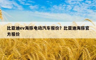 比亞迪ev海豚電動汽車報價？比亞迪海豚官方報價