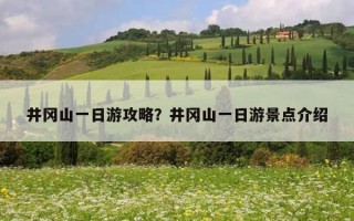 井岡山一日游攻略?井岡山一日游景點介紹 井岡山一日游攻略?井岡山一日游景點介紹
