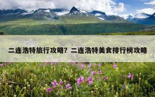 二連浩特旅行攻略？二連浩特美食排行榜攻略