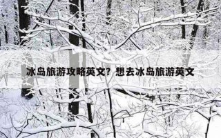 冰島旅游攻略英文？想去冰島旅游英文
