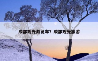 成都觀光游覽車？成都觀光旅游