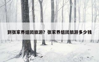 到張家界組團旅游？張家界組團旅游多少錢