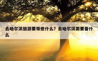 去哈爾濱旅游要帶些什么？去哈爾濱需要備什么