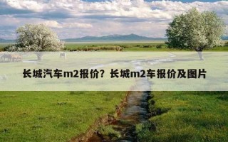 長城汽車m2報價？長城m2車報價及圖片