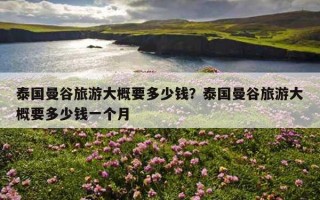 泰國曼谷旅游大概要多少錢？泰國曼谷旅游大概要多少錢一個月