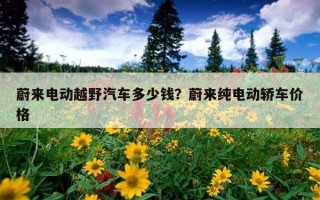 蔚來電動越野汽車多少錢？蔚來純電動轎車價格