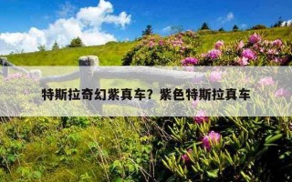 特斯拉奇幻紫真車？紫色特斯拉真車
