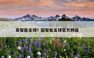 高智能足球？超智能足球官方網站