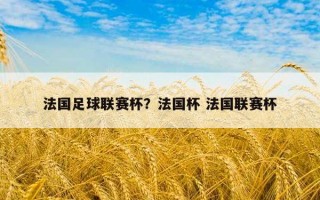 法國足球聯賽杯？法國杯 法國聯賽杯