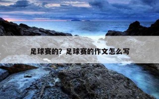 足球賽的？足球賽的作文怎么寫