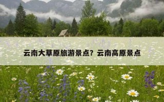 云南大草原旅游景點？云南高原景點