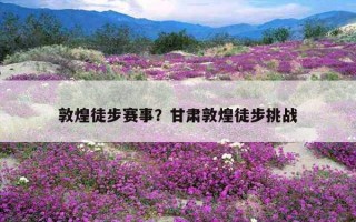 敦煌徒步賽事？甘肅敦煌徒步挑戰