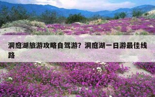 洞庭湖旅游攻略自駕游?洞庭湖一日游最佳線路 洞庭湖旅游攻略自駕游?洞庭湖一日游最佳線路