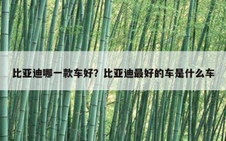 比亞迪哪一款車好？比亞迪最好的車是什么車