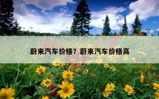 蔚來汽車價格？蔚來汽車價格高
