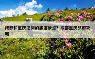 成都和重慶之間的旅游景點？成都重慶旅游攻略