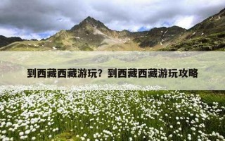 到西藏西藏游玩？到西藏西藏游玩攻略
