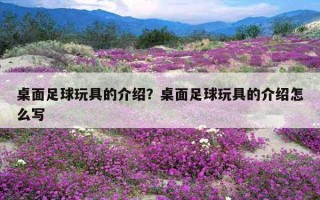 桌面足球玩具的介紹？桌面足球玩具的介紹怎么寫