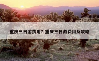 重慶三日游費用？重慶三日游費用及攻略