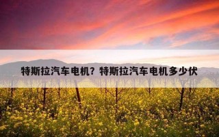特斯拉汽車電機？特斯拉汽車電機多少伏