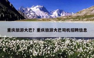 重慶旅游大巴？重慶旅游大巴司機招聘信息
