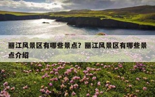 麗江風景區有哪些景點？麗江風景區有哪些景點介紹