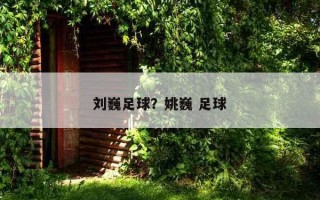 劉巍足球？姚巍 足球