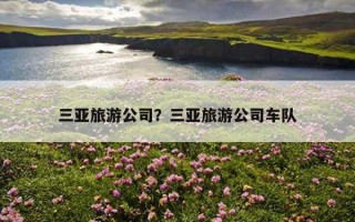 三亞旅游公司？三亞旅游公司車隊