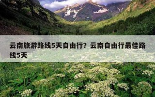 云南旅游路線5天自由行？云南自由行最佳路線5天