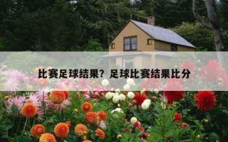 比賽足球結果？足球比賽結果比分