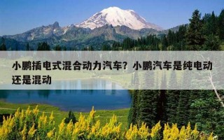 小鵬插電式混合動力汽車？小鵬汽車是純電動還是混動