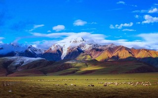 純玩2天半游：峨眉山金頂、瓦屋山、七里坪（精致小包團）