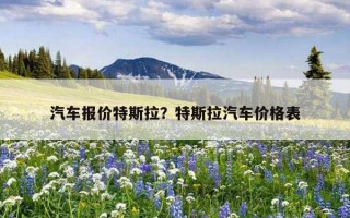 汽車報價特斯拉?特斯拉汽車價格表 汽車報價特斯拉?特斯拉汽車價格表