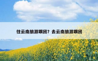 往云南旅游跟團？去云南旅游跟團