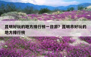 昆明好玩的地方排行榜一日游？昆明市好玩的地方排行榜