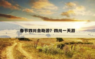 春節四川自助游？四川一天游
